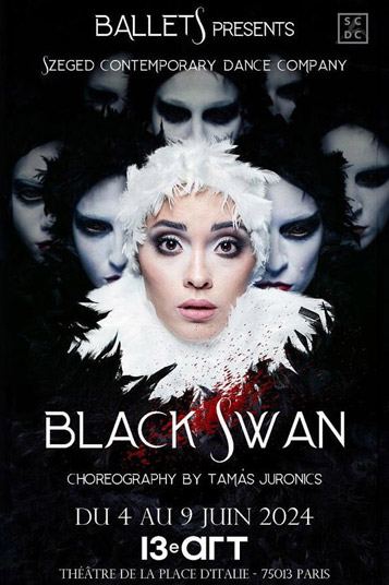 black-swan-theatre-le-13eme-art-paris