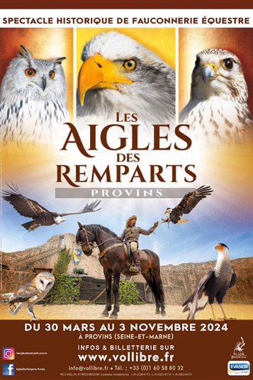 les-aigles-des-remparts-de-provins-paris