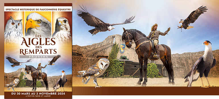 spectacle-fauconnerie-equestre-provins-les-aigles-des-remparts